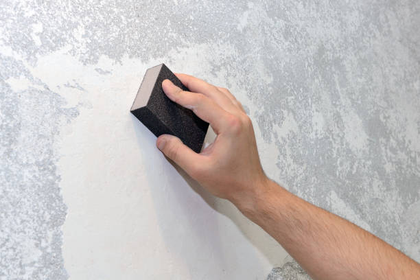Best Real Estate Mold Inspection  in Plainedge, NY