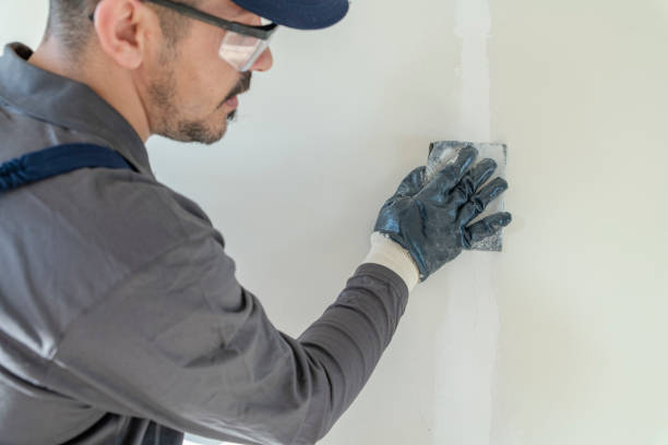 Professional Mold Removal in Plainedge, NY