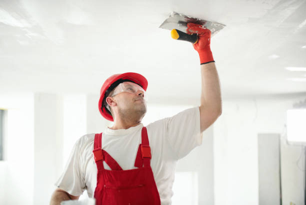 Best Mold Damage Restoration  in Plainedge, NY