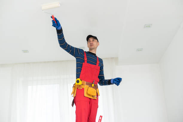 Best Mold Prevention Services  in Plainedge, NY