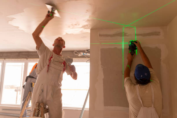 Best Commercial Mold Inspection  in Plainedge, NY